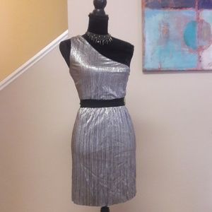 Express/ Silver Shimmer/ Party Dress
